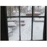 1stSnow2013_001.jpg