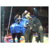 circus08_006.jpg