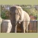 kczoo_008.jpg