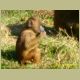 kczoo_023.jpg
