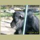 kczoo_065.jpg