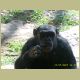 kczoo_087.jpg