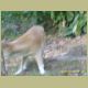 kczoo_285.jpg