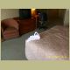 niagra_219.jpg