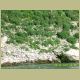 niagra_270.jpg