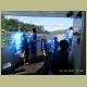niagra_352.jpg