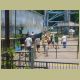 six_flags_019.jpg