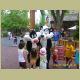 six_flags_032.jpg
