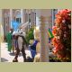six_flags_066.jpg