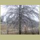 icetorm005.jpg