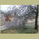 icetorm073.jpg