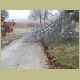 icetorm074.jpg