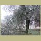 icetorm075.jpg