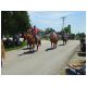July4_08parade_053.jpg
