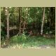 day16_011.jpg